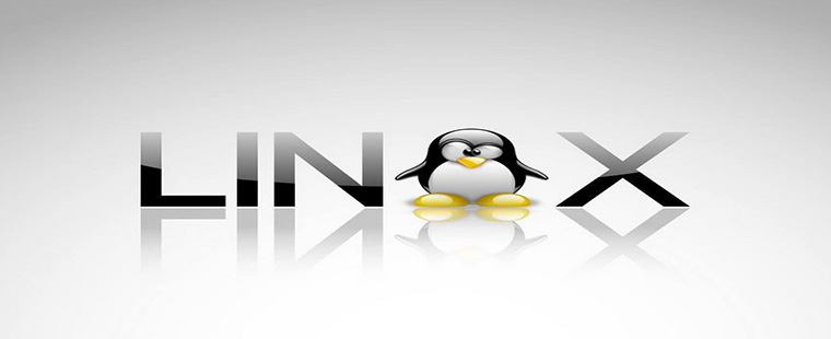LINUX INTERNAL and RTOS Training in Roorkee